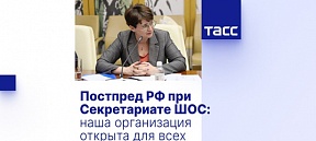 Интервью Постоянного представителя России при Секретариате ШОС Натальи Степкиной агентству ТАСС Интервью Постоянного представителя России при Секретариате ШОС Натальи Степкиной агентству ТАСС