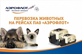 О перевозке животных на «вывозном» рейсе Гуанчжоу — Москва 15 июля О перевозке животных на «вывозном» рейсе Гуанчжоу — Москва 15 июля